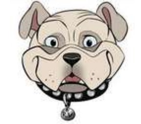  mascot