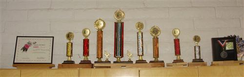 Coronado Odyssey of the Mind Trophies 