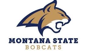 Montana State 