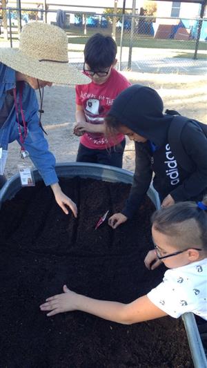 sowing seeds 
