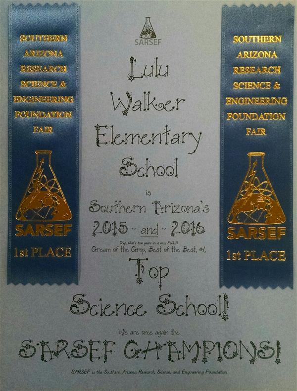 SARSEF Winner 