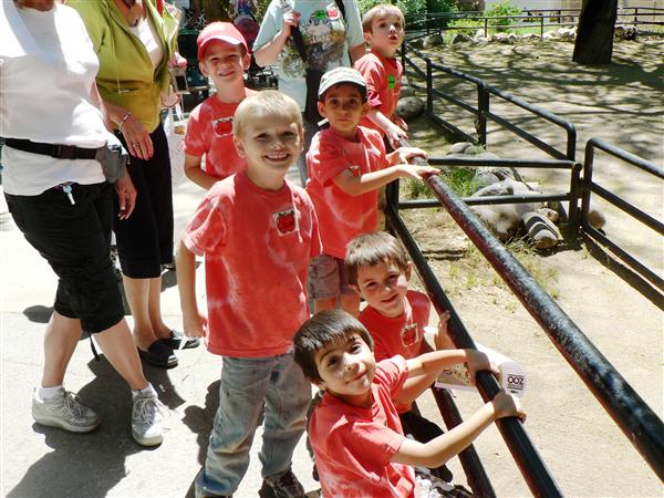 Zoo 