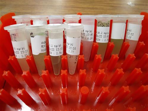 nanodrop tubes