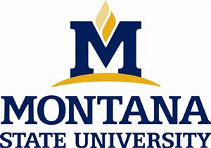 Montana State University 